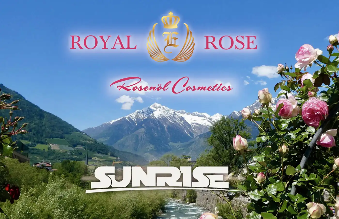 Royal Rose Sunrise Schlagermusik